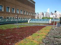 columbia University
