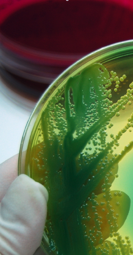 Life science sales strategies