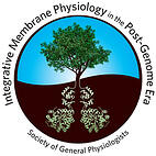 2012 symposia logo