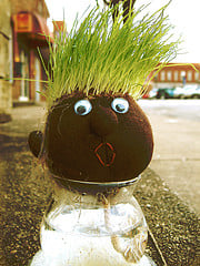 352155683 186f1a0e52 m