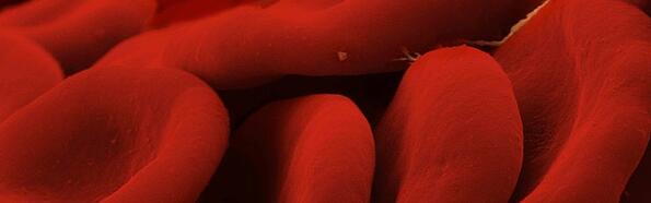 biomedical optics research