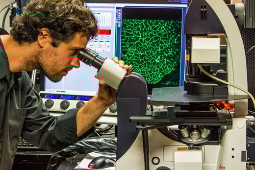 biophotonics research irvine