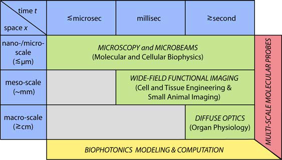 biophotonics research