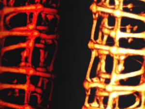 Harvard bio research