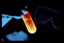 hi NICHD01 resized 600