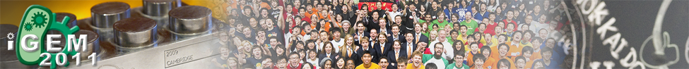 iGEM biology MIT