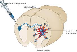 imagesCAXUIWSP resized 600