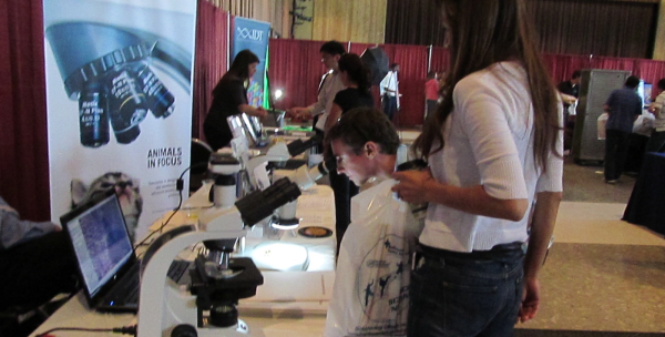 IMG 0133 cropped resized 600