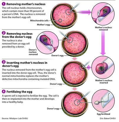 ivf gene research