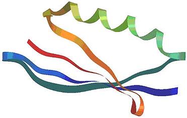 Laboratory Imaging Equipment