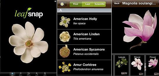 plant identification app