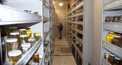 marine science research