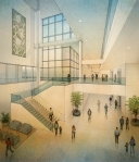 mayo cancer research grant