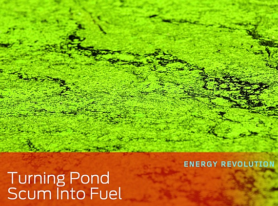 michigan life science research