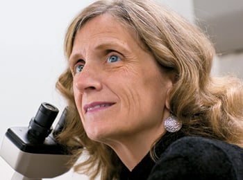 microchimerism research