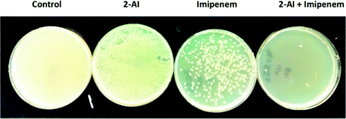 NC State chemistry researchers
