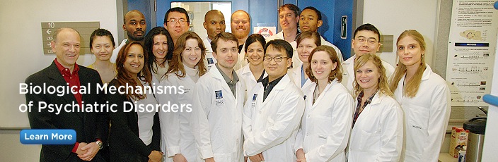 nestler lab mt sinai