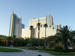 P10209591 resized 600