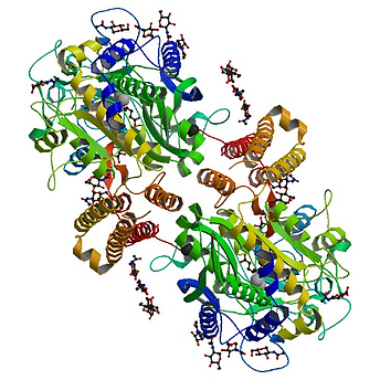 prostate cancer protein imaging technology