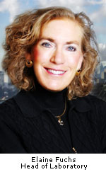 rock research laboratory