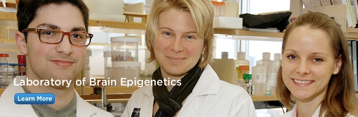 schaeffer research lab