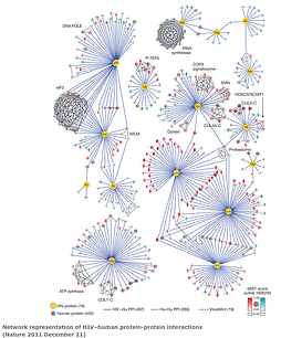 HIV-human protein complexes