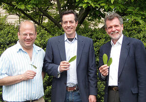 Professor plant identification