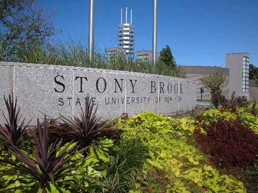 stony brook research