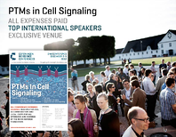 Top image resized 600