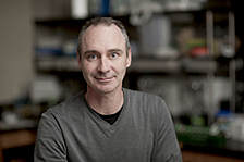 WSU prostate cancer research scientist