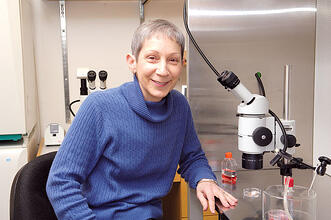 WSU Genetics Researcher