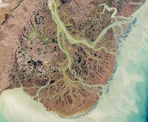 Yukon Delta