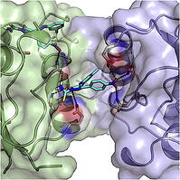 AIDS research pittsburgh