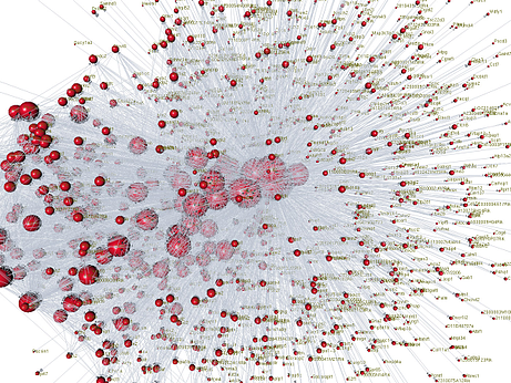 brain map resized 600