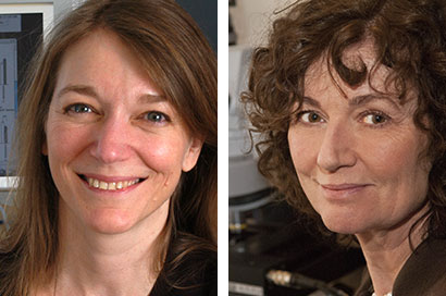 rockefeller research scientists