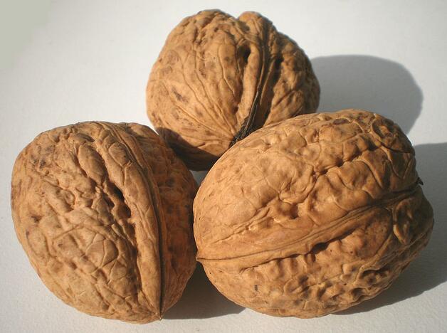 walnuts