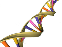 Life science marketing events in Baltimore help companies sell lab supplies