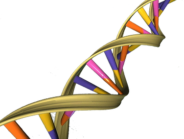 Vendor shows help highly funded life science researchers find new lab supplies. 