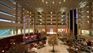 untitled.jpg resized 600