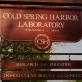 246601 175818092472381 7227715 n