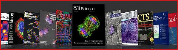 celll biology research