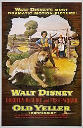 The possibility of contracting rabies is shown in the popular movie "Old Yeller"