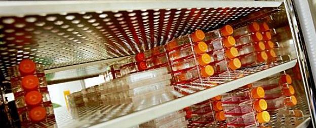 stem cell research biobank