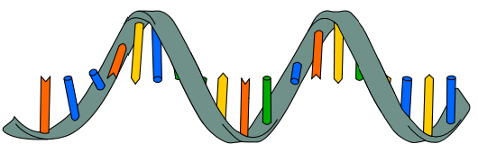 rna research