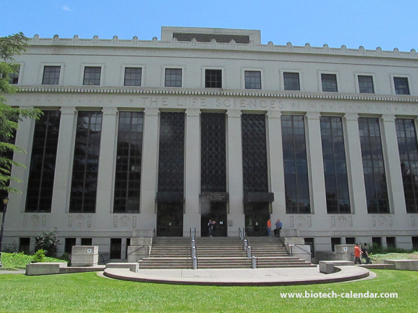 IMG 0276 resized 600