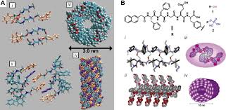 imagesCAM1BZXK resized 600