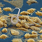 untitled.jpg resized 600