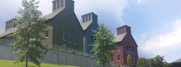 imagesCA0VWKSZ resized 600