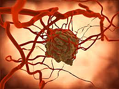 untitled resized 600