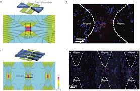 imagesCAXQ7DRM resized 600